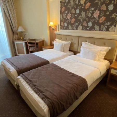 Hotel Leul De Aur Себеш Экстерьер фото