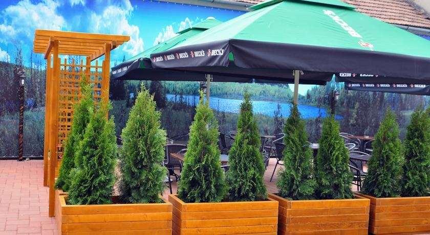 Hotel Leul De Aur Себеш Удобства фото